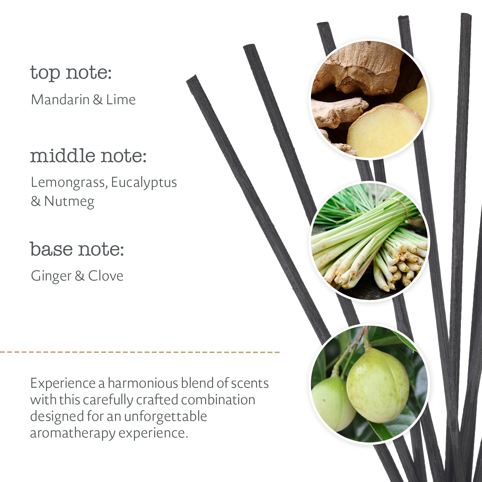 Rejuvenate Ginger & Lemongrass Aromatherapy Reed Diffuser (5.8 fl.oz, 173ml)